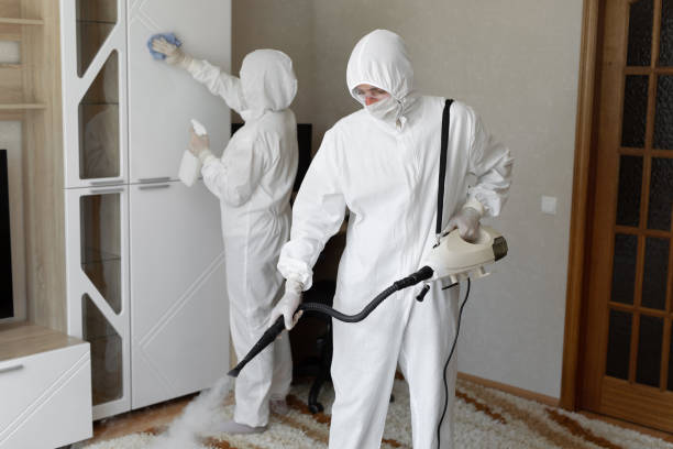 Trusted Baldwin City, KS Mold Remediation Experts